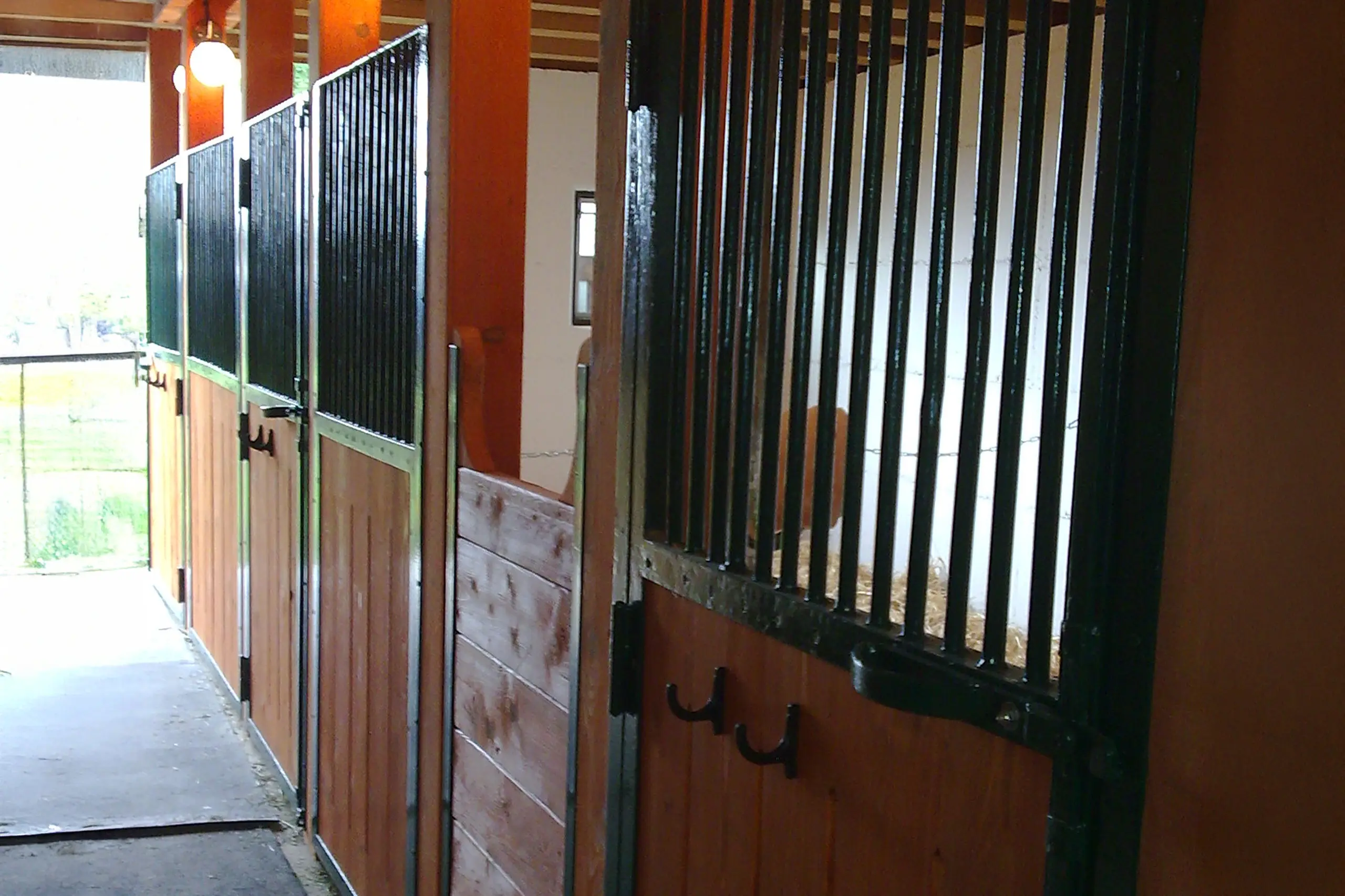 Pferdestall-Montage-Schreiner-Schweiz